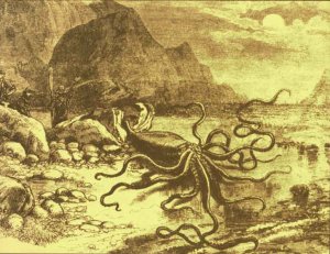 giant_squid_catalina.jpg