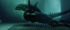 alien_4_03.jpg