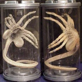 alienfacehugger.jpg