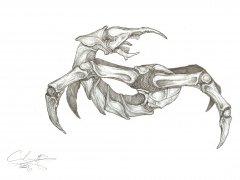 another_monster_by_the_gecko.jpg