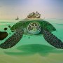 turtle-island.jpg