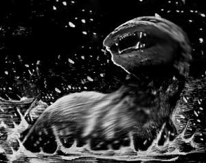 dobhar-chu_encounter.jpg