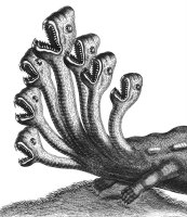 seba-hydra.jpg