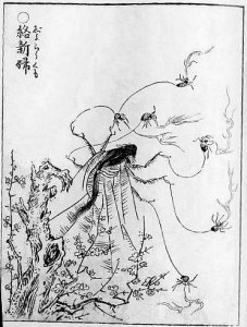 sekienjorogumo.jpg
