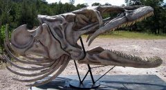 loch_ness_monster_skull_by_kihlstudios.jpg