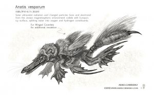 anatis_vesparum_mike-corriero_2012-lowres.jpg