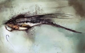 fish.jpg