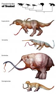pescidonts_of_snaiad_by_nemo_ramjet-1.jpg