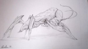 816_max_1_.jpg
