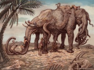 meng_web_elephantsandblindmen_d.jpg