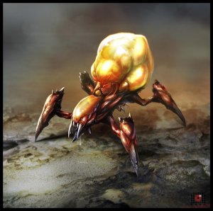 spider_by_akirawrong-d8323z6.jpg