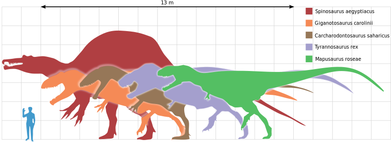largesttheropods.svg.png