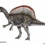 spinosaurusatuchin.jpg